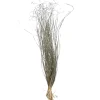 Depot Blumen^Trockenbundel Gras Metallic