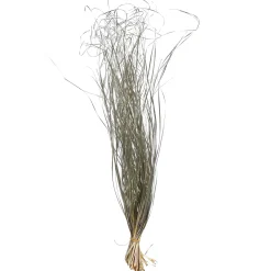 Depot Blumen^Trockenbundel Gras Metallic