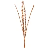 Depot Blumen^Trockenbundel Seaberries