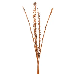 Depot Blumen^Trockenbundel Seaberries