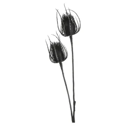 Depot Adventskranz-Deko^Zweig Distel Ca. 81Cm