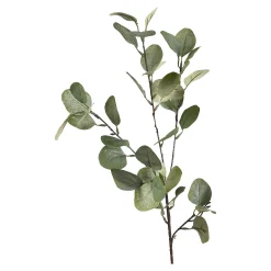 Depot Blumen^Zweig Eukalyptus Ca.73Cm