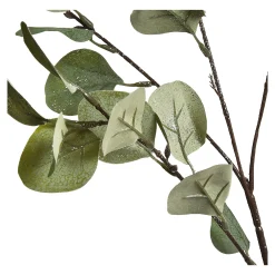 Depot Blumen^Zweig Eukalyptus Ca.73Cm