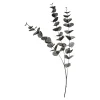 Depot Adventskranz-Deko^Zweig Eukalyptus Ca.100Cm