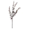 Depot Adventskranz-Deko^Zweig Eukalyptus Modern Ca.74Cm, Creme