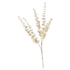 Depot Blumen^Zweig Eukalyptus Modern Ca.74Cm, Creme