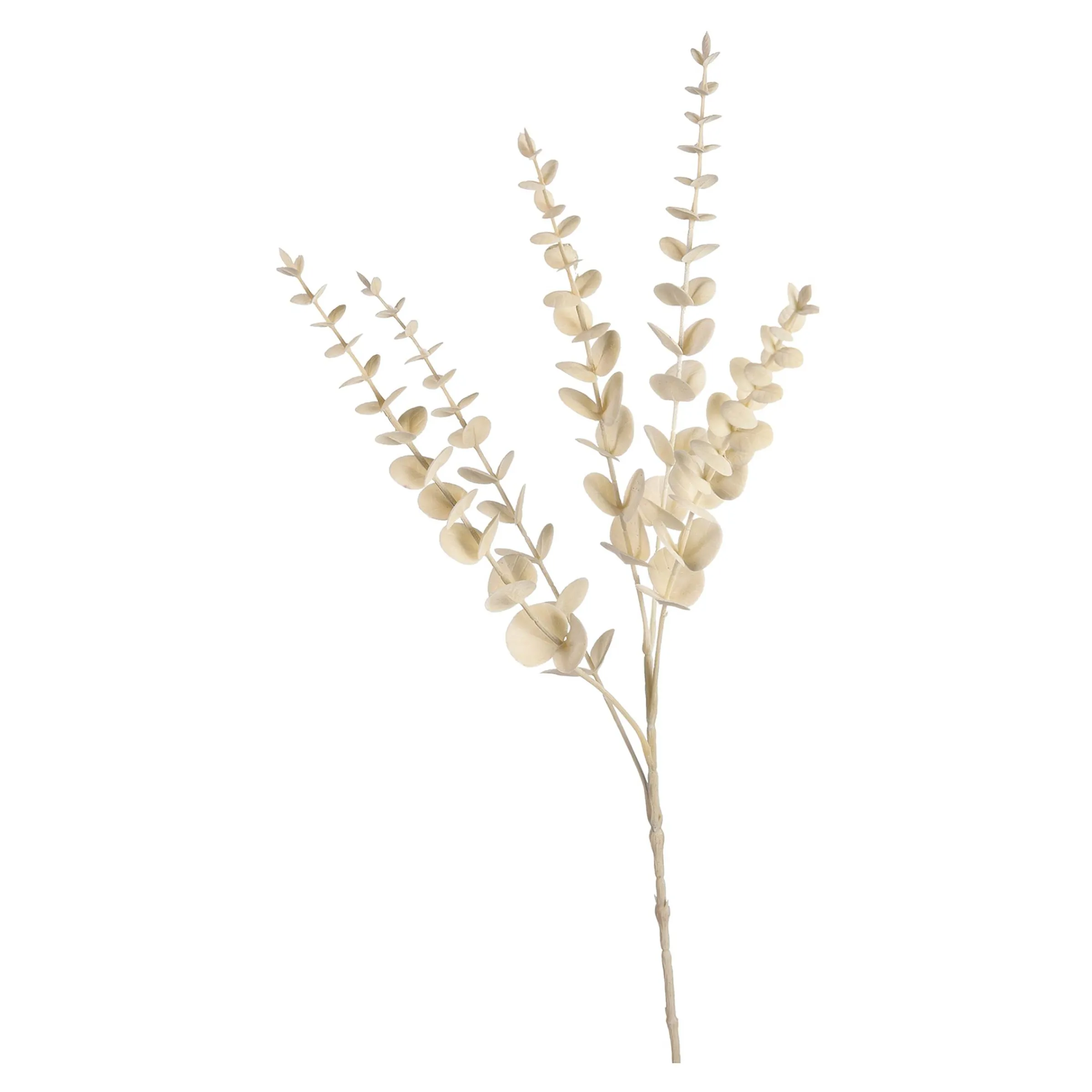 Depot Blumen^Zweig Eukalyptus Modern Ca.74Cm, Creme
